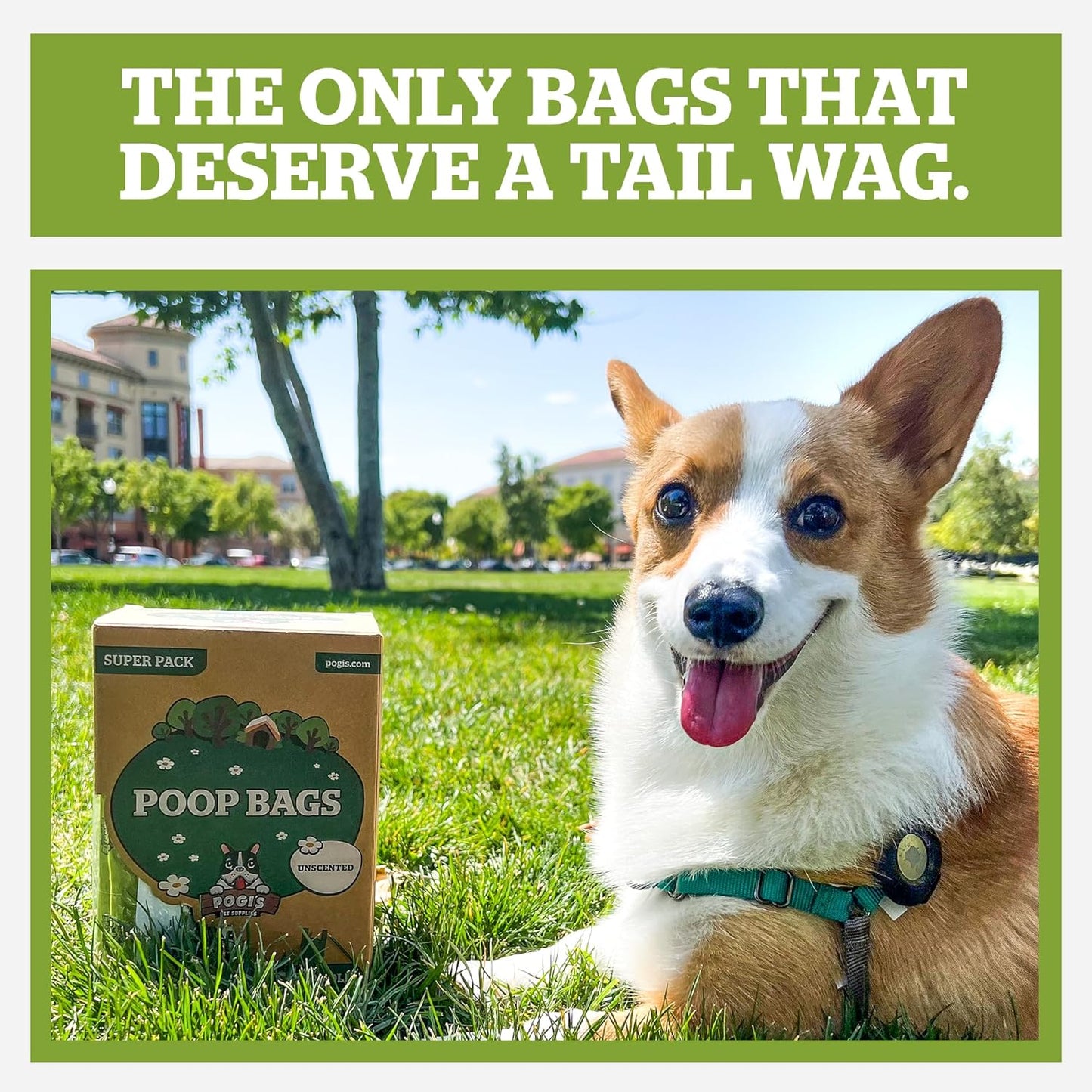 Pogi'S Dog Poop Bags with Handles Bulk - 900 Doggy Poop Bags with Easy-Tie Handles - Leak-Proof, Ultra Thick, Scented Poop Bags for Dogs, Cat Poop Bags